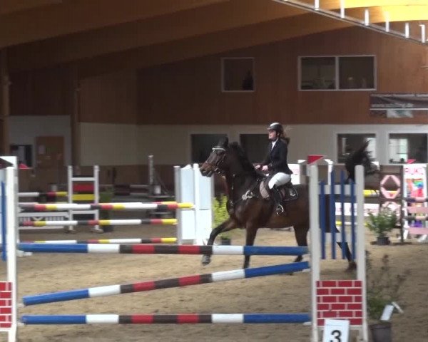 Reitturnier Schwendi 2016