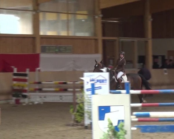 Reitturnier Schwendi 2016