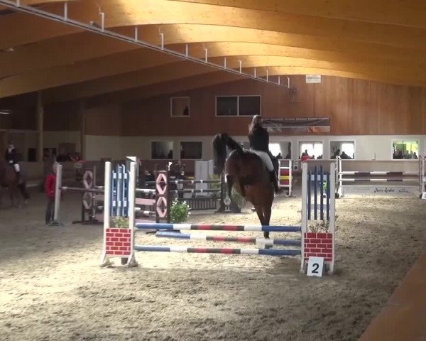 Reitturnier Schwendi 2016