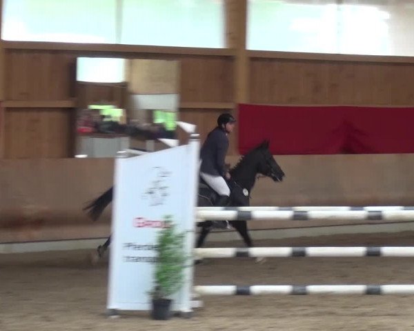 Reitturnier Schwendi 2016