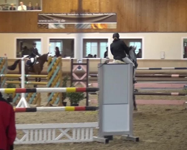 Reitturnier Schwendi 2016