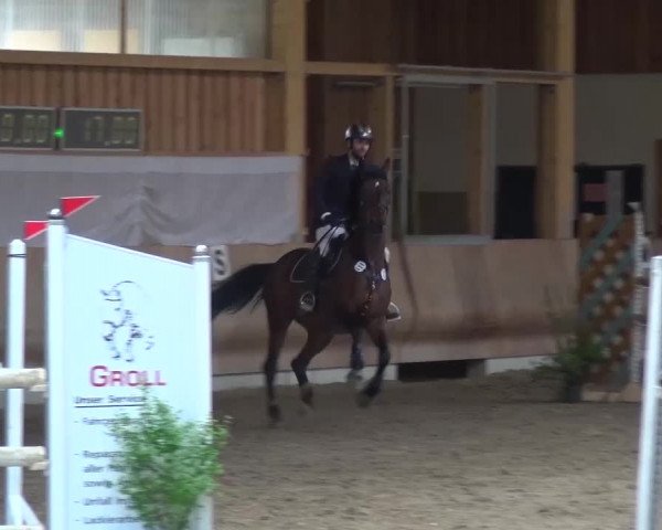 Reitturnier Schwendi 2016