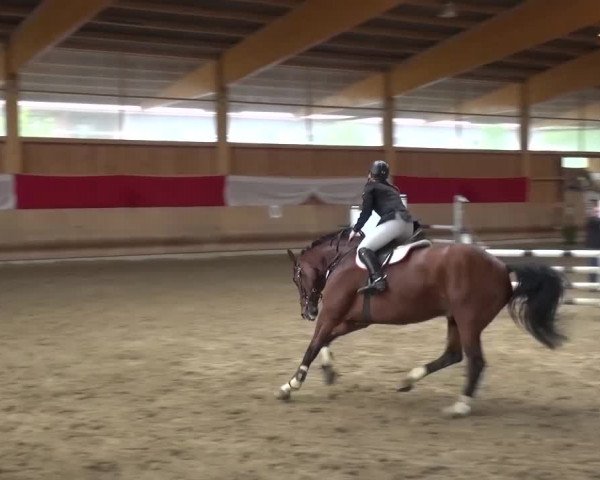 Reitturnier Schwendi 2016