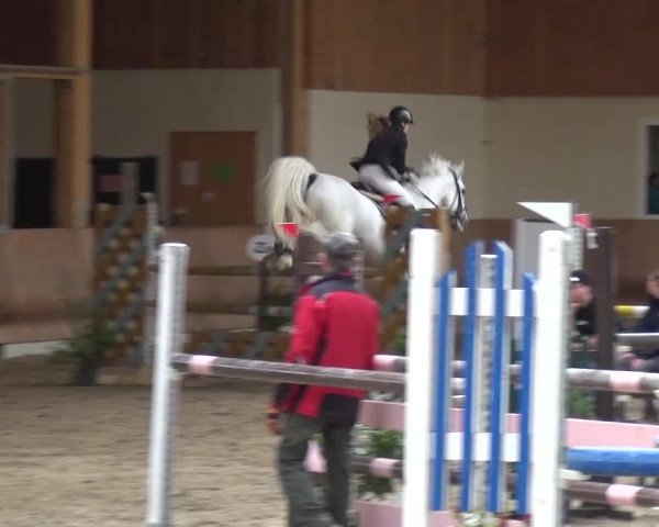 Reitturnier Schwendi 2016