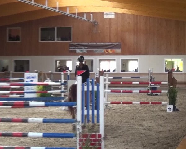 Reitturnier Schwendi 2016
