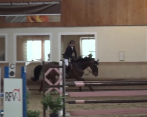 Reitturnier Schwendi 2016