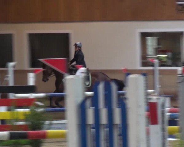 Reitturnier Schwendi 2016
