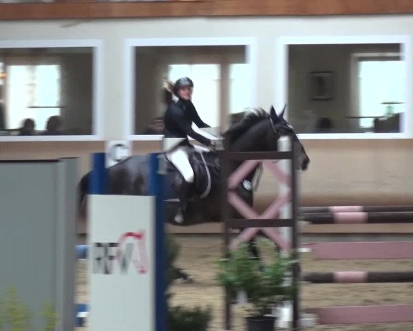 Reitturnier Schwendi 2016