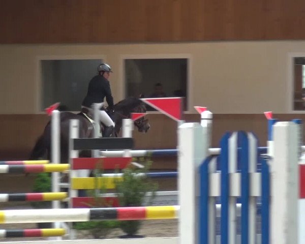 Reitturnier Schwendi 2016