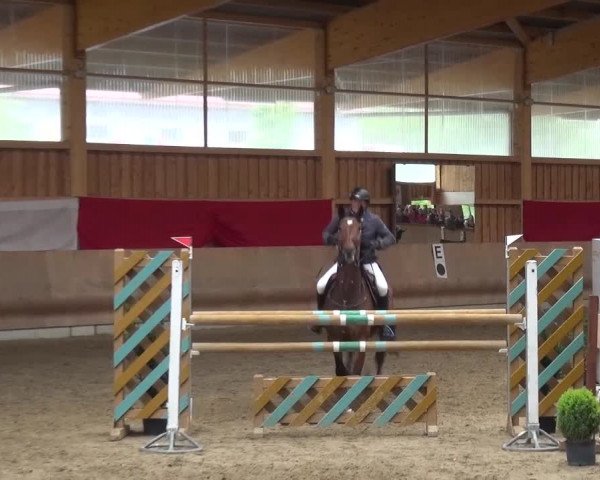 Reitturnier Schwendi 2016