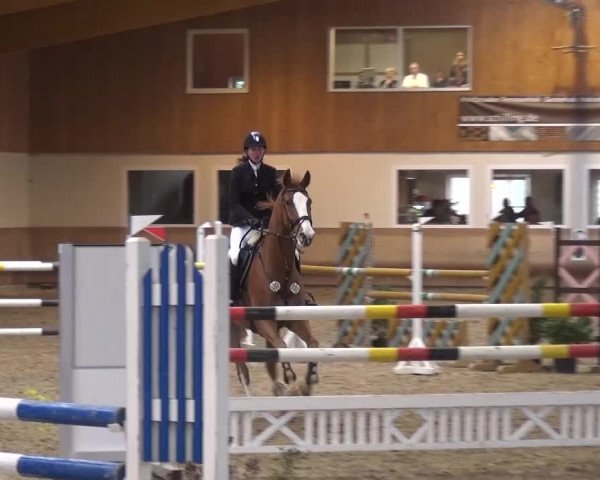 Reitturnier Schwendi 2016