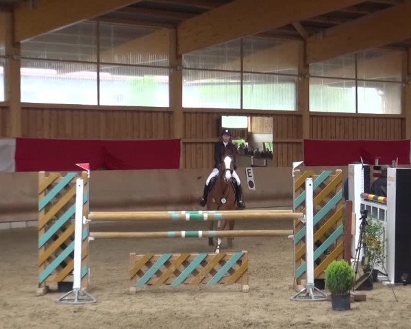 Reitturnier Schwendi 2016