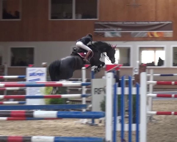 Reitturnier Schwendi 2016