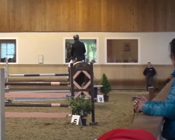 Reitturnier Schwendi 2016