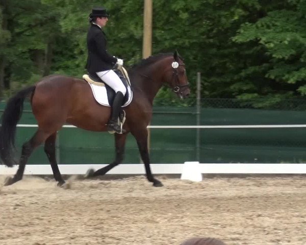Reitturnier Düren - An der Kuhbrücke 2016