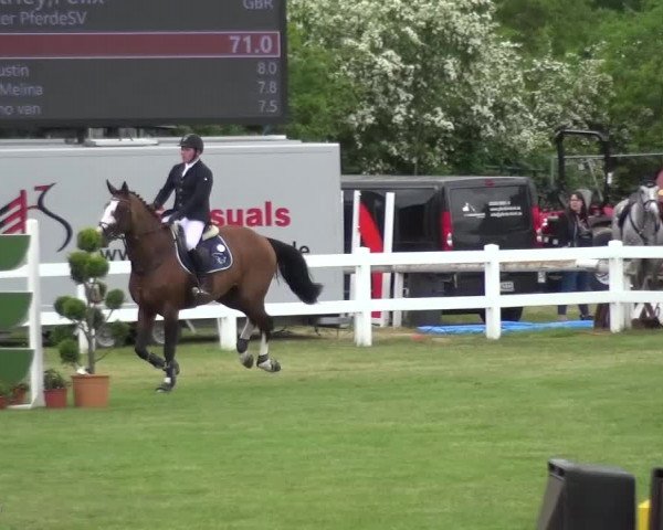 Reitturnier Düren - An der Kuhbrücke 2016