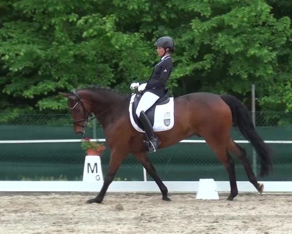 Reitturnier Düren - An der Kuhbrücke 2016