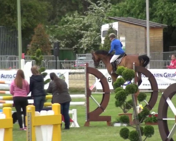 Reitturnier Düren - An der Kuhbrücke 2016
