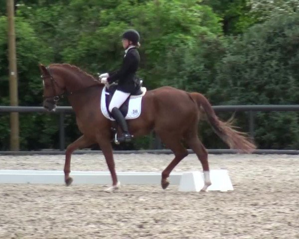 Reitturnier Düren - An der Kuhbrücke 2016
