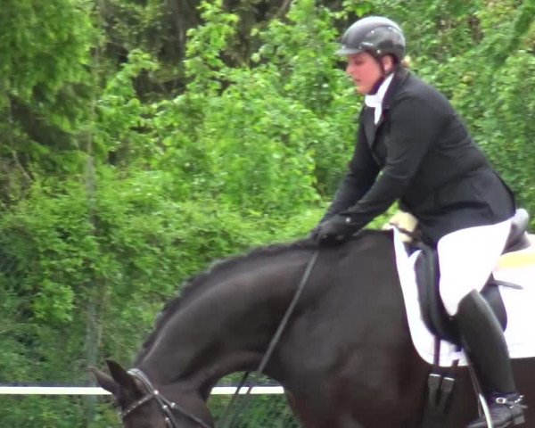 Reitturnier Düren - An der Kuhbrücke 2016