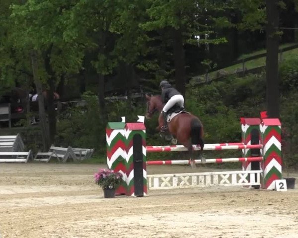 Reitturnier Iserlohn-Kalthof 2016