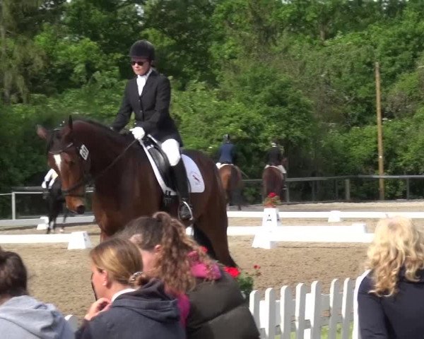 Reitturnier Düren - An der Kuhbrücke 2016