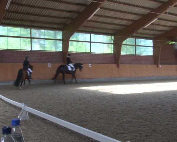 3. Holtkämper Dressurtage 2016