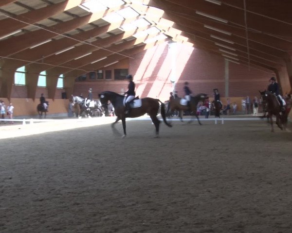 3. Holtkämper Dressurtage 2016