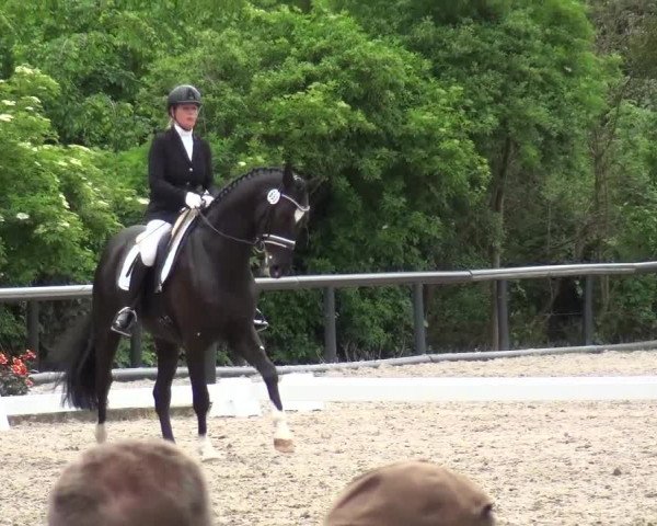 Reitturnier Düren - An der Kuhbrücke 2016