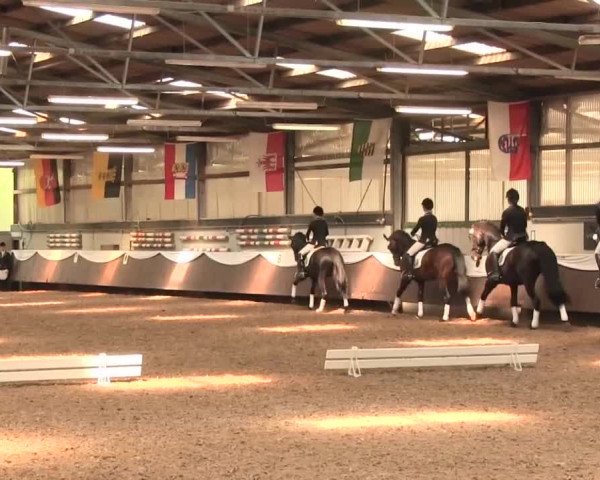Reitturnier Bochum-Nord 2016