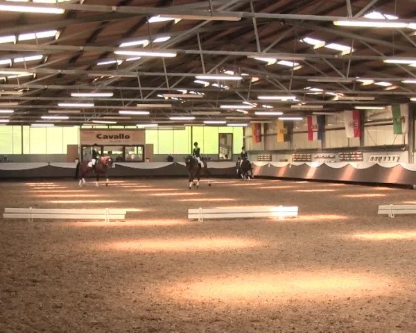 Reitturnier Bochum-Nord 2016