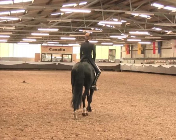 Reitturnier Bochum-Nord 2016