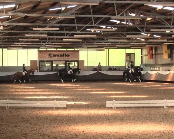 Reitturnier Bochum-Nord 2016