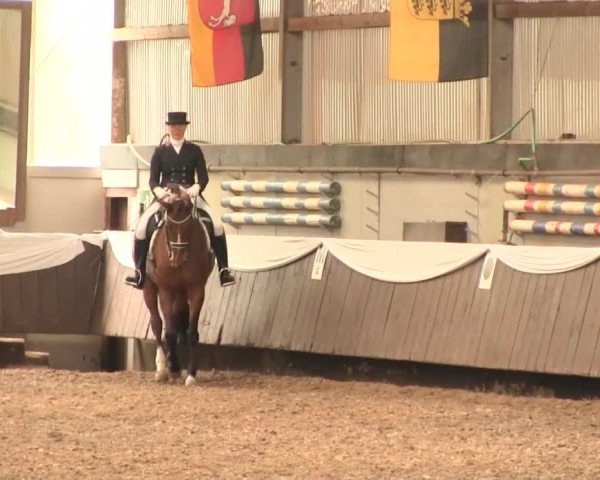 Reitturnier Bochum-Nord 2016