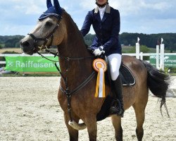 jumper Kappuchino (Dutch Pony m.arab.Blutant., 2003, from Krimh ox)