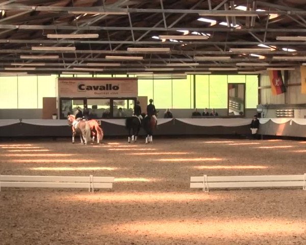 Reitturnier Bochum-Nord 2016