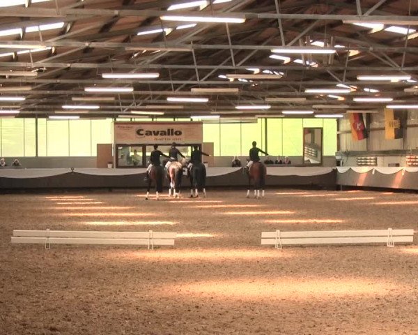 Reitturnier Bochum-Nord 2016