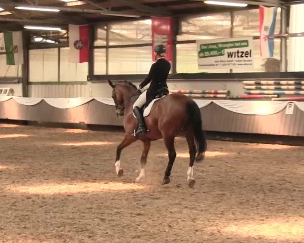 Reitturnier Bochum-Nord 2016