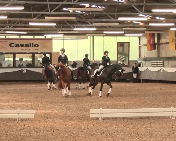 Reitturnier Bochum-Nord 2016