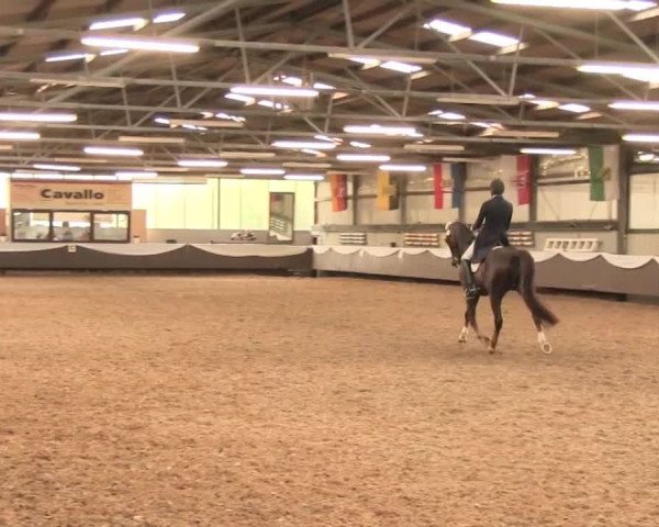 Reitturnier Bochum-Nord 2016
