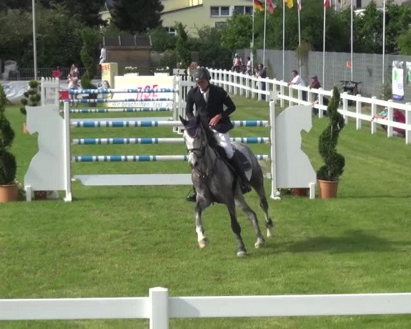 Reitturnier Düren - An der Kuhbrücke 2016