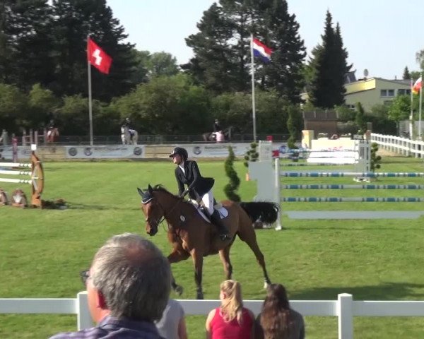 Reitturnier Düren - An der Kuhbrücke 2016