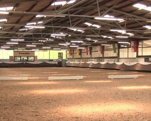 Reitturnier Bochum-Nord 2016