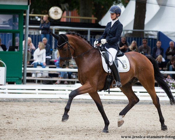 dressage horse Harmony's Bocca Di Bacco (Oldenburg, 2013, from Bordeaux 28)