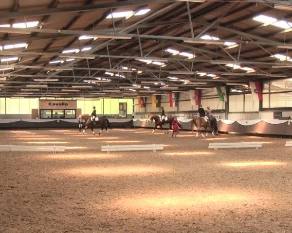 Reitturnier Bochum-Nord 2016