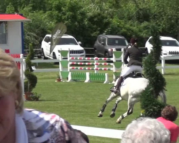 Reitturnier Düren - An der Kuhbrücke 2016