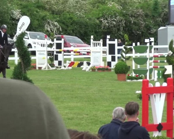 Reitturnier Düren - An der Kuhbrücke 2016