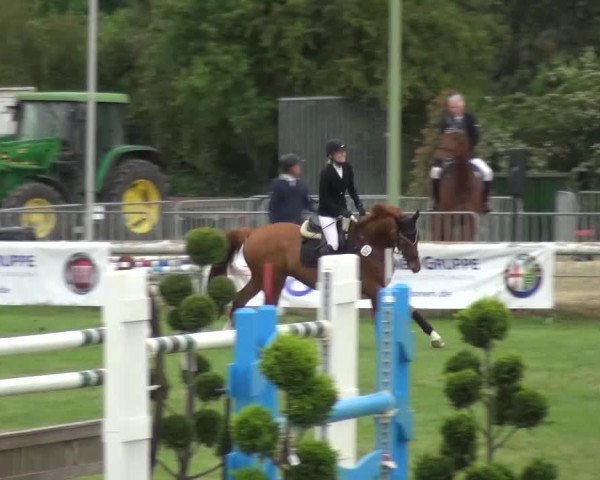 Reitturnier Düren - An der Kuhbrücke 2016