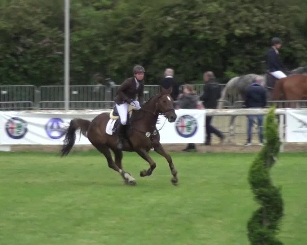 Reitturnier Düren - An der Kuhbrücke 2016