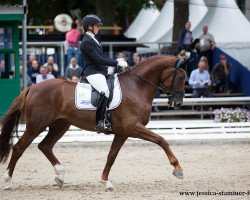 dressage horse Double Surprise (Hanoverian, 2013, from De Niro)